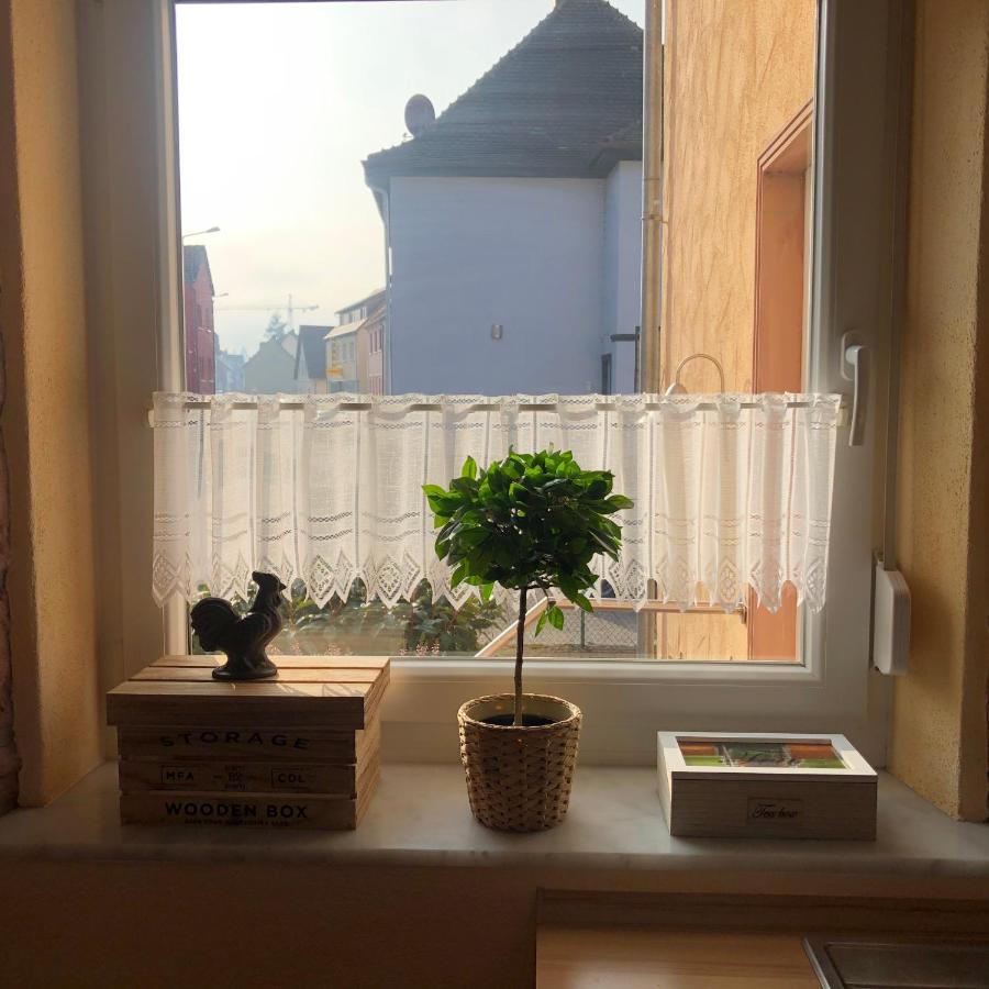 Gemuetliches Apartment Garden View Ramstein-Miesenbach Eksteriør bilde