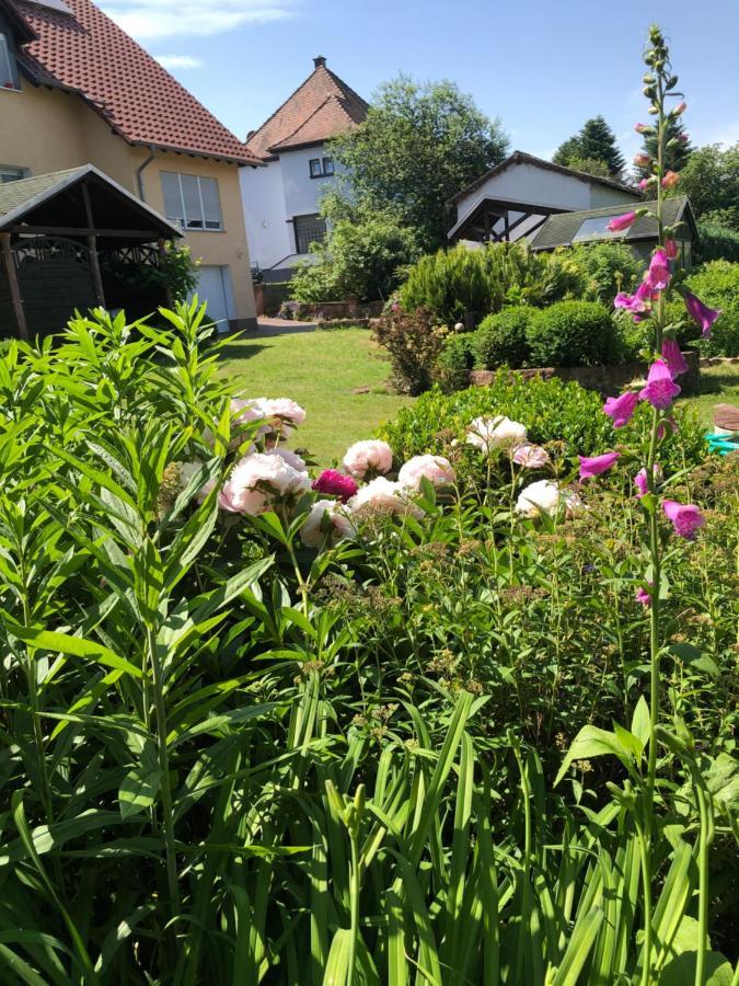Gemuetliches Apartment Garden View Ramstein-Miesenbach Eksteriør bilde