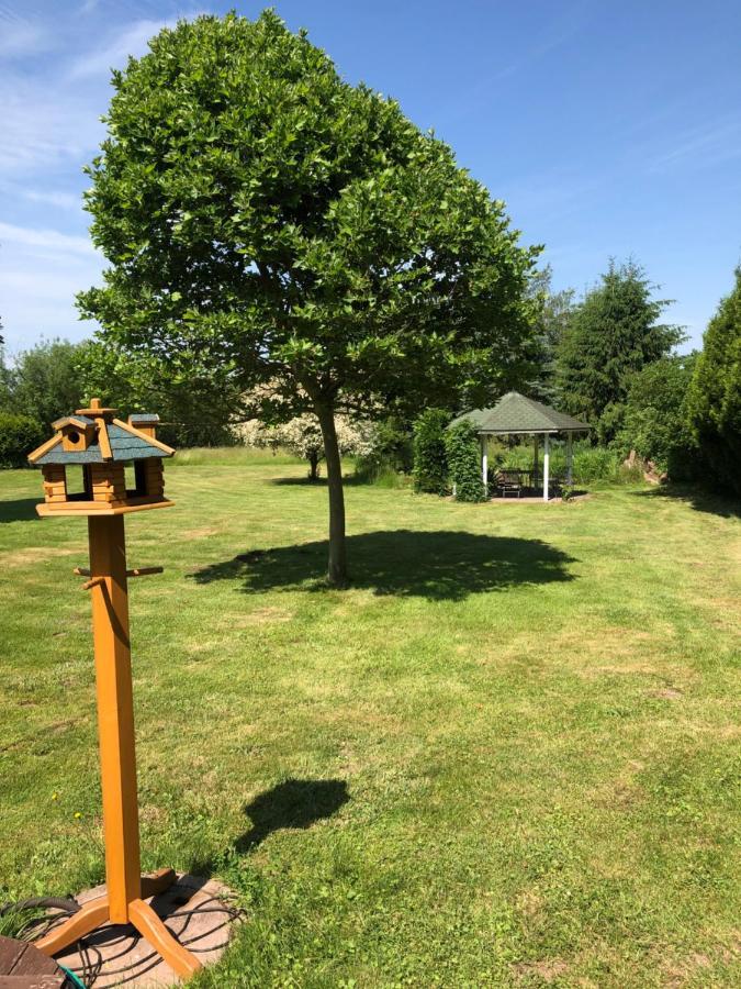 Gemuetliches Apartment Garden View Ramstein-Miesenbach Eksteriør bilde